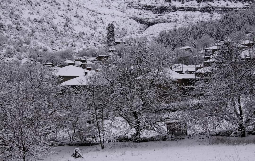 Xenonas Zagorisio Appartement Tsepelovo Kamer foto